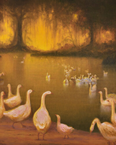 Duck lake