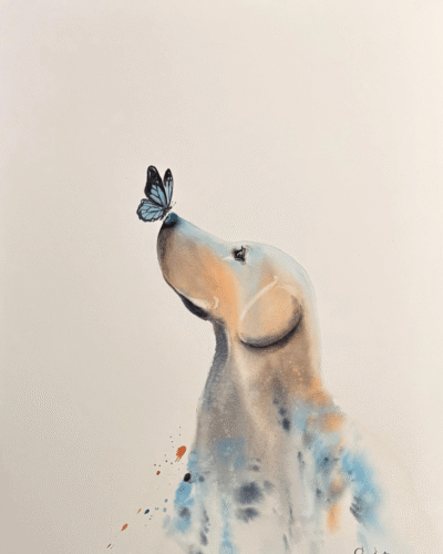 A Guest