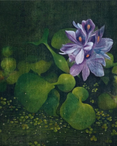 Mundane magic series  Blooming splendour