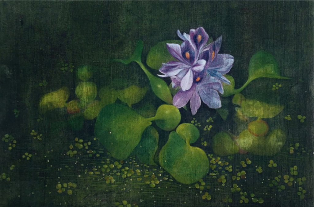 Mundane magic series  Blooming splendour