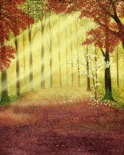 Sunny Morning