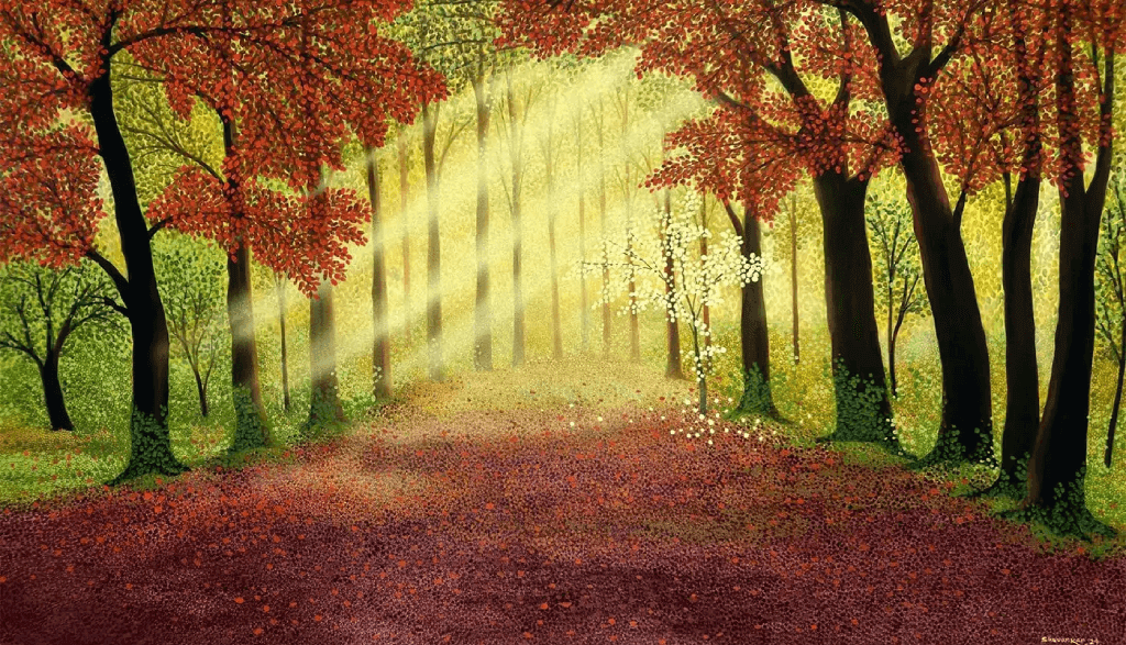 Sunny Morning