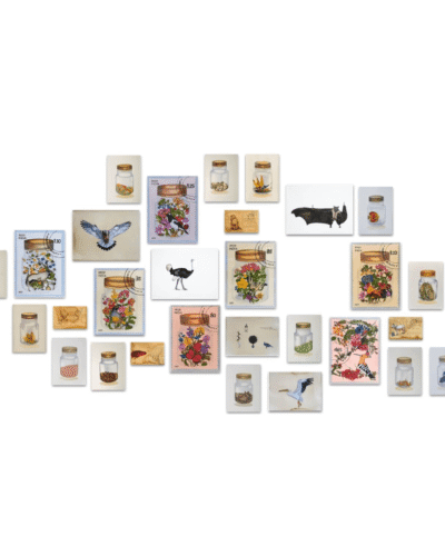 Installation of different series by Manisha Agrawal