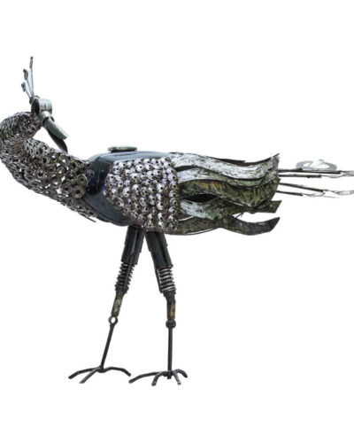 Peahen