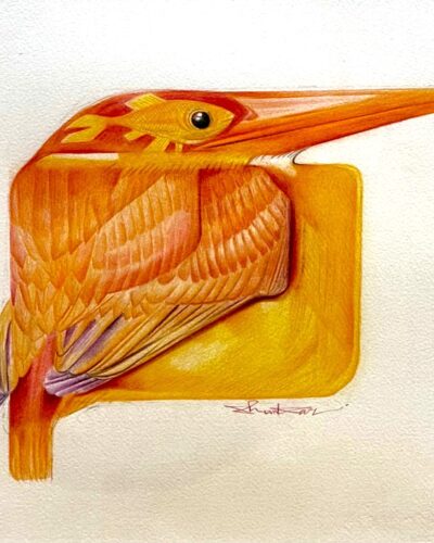 Birds series