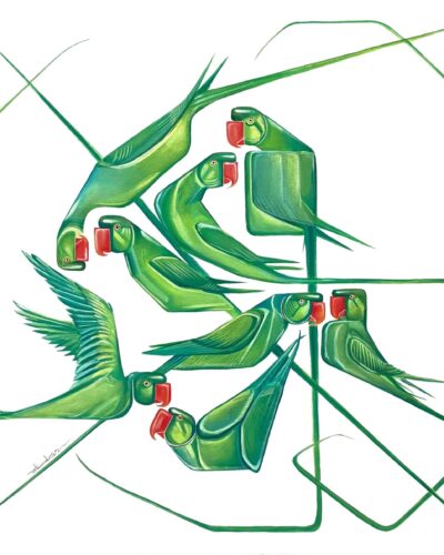Birds series
